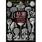 粘菌 知性のはじまりとそのサイエンス 特徴から研究の歴史、動画撮影法、アート、人工知能への応用まで/ジャスパー・シャープ/ティム・グラバム