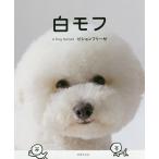 白モフ A Dog Namedビションフリーゼ