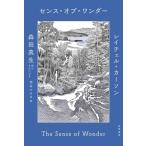  чувство *ob* wonder / Ray che ru* машина son/ Morita подлинный сырой 