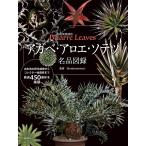 アガベ・アロエ・ソテツ名品図録 珍奇美葉植物Bizarre Leaves/Shabomaniac！