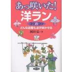 a....!. Ran kotsu. kotsu какой товар вид . обязательно ..../ холм рисовое поле .