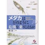 me Dakar. . такой как . машина . езда .... рисовое поле ... рыба ...../ край . 2 