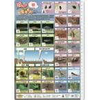  рисовое поле ... сырой кимоно исследование гид весна 