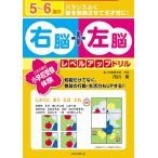 5~6 лет. правый .+ левый . Revell выше дрель это 1 шт. . начальная школа экспертиза body .!/ Ichikawa .