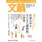  документ магазин 2024.11/[ документ магазин ] редактирование часть 
