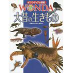 po pra tia большой иллюстрированная книга WONDA 14 большой старый сырой кимоно / Kobayashi . следующий 