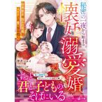 秘密の一夜から始まる懐妊溺愛婚 財界策士は囚われ花嫁をベビーごと愛で包み抱く/伊月ジュイ