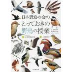 日本野鳥の会のとっておきの野鳥の授業/日本野鳥の会/上田恵介