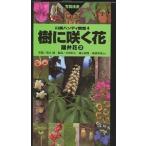 .... цветок .. цветок 2/. дерево ./ Ishii Британия прекрасный 