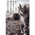  супер перевод кошка . объяснить ... Akira день . сырой ..... слова / белый брать весна .