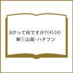 〔予約〕SCPって何ですか?(4)(4) /梨三山高・ハチフン
