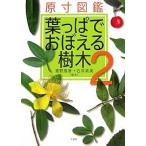  лист ....... дерево . размер иллюстрированная книга 2