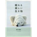 ... прекрасный живое существо /.. самец .