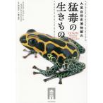  большой Британия природа история музей. ... сырой кимоно /ronarudo*jenna-/i vi ndo*undo высокий m/ судно гора доверие следующий 