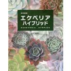 多肉植物エケベリアハイブリッド/羽兼直行
