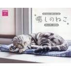 ショッピングカレンダー 癒しのねこカレンダー2026