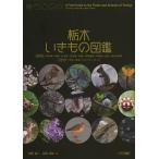  Tochigi . кимоно иллюстрированная книга / передний рисовое поле доверие 2 / передний рисовое поле . журнал 