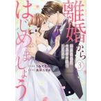 〔予約〕離婚からはじめましょうー極上社長はお見合い妻を逃さないー 3(仮) /うみやまねこ/高田ちさき