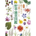 色で見わけ五感で楽しむ野草・雑草図鑑/田中伸幸/高橋修