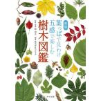  лист ... видеть ... чувство . приятный дерево иллюстрированная книга /.../* фотография amana