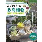 ( предварительный заказ ) хорошо понимать суккулентное растение 