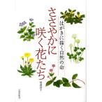 ささやかに咲く花たち はがきに描く自然の命 / 増渕澄子