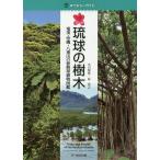 . лампочка. дерево Amami * Okinawa ~. -слойный гора. .. obi растения иллюстрированная книга / Okawa . история /...