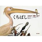 くちばし どれが一番りっぱ?/ビアンキ/田中友子/薮内正幸