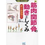 筋肉・関節・骨の動きとしくみ オ