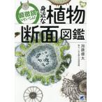 顕微鏡でのぞいてみた身近な植物断面図鑑/加藤優太