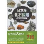 日本産化石図鑑 採集と標本の作り方/大八木和久