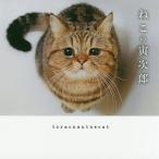 ne это . следующий ./torachanthecat