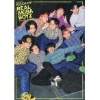 REAL AKIBA BOYZ OFFICIAL FANBOOK ROAD TO BUDOKAN!