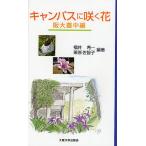  campus ... цветок . большой Тоёнака сборник / Fukui . один / каштан ....