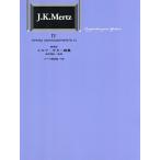  стандарт версия merutsu* гитара сборник 4