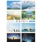 Twitter発写真が好きだ。/芸術新聞