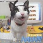 hatch!!!! �͂��������L 4/�����