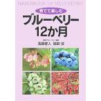 ... приятный голубика 12. месяц / шар рисовое поле . человек / Fukuda .