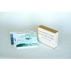 KAZUYO SEJIMA RYUE N