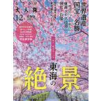 o... взрослый . Tokai версия 12/ путешествие 