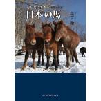  человек наряду с сырой .. японский лошадь / высота ..