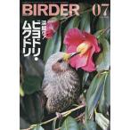 BIRDER 2026年7月号