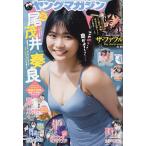ヤングマガジン 2026年11月2日号