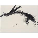 MR.CHILDREN DOME TOUR 2005 “I□U”〜FINAL IN TOKYO DOME〜/Mr.Children