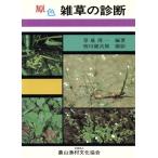 . цвет ... диагностика /.. выгода один ( автор ),. река . следующий .