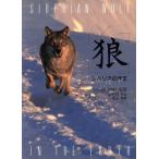 狼 シベリアの牙王/戸川幸夫(著者),小原秀雄(著者),田中光常
