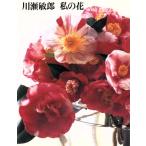  река ... мой цветок / река ...( автор )