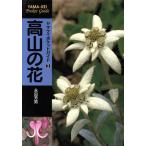  высота гора. цветок yama Kei карман гид 3/. рисовое поле . мужчина ( автор )