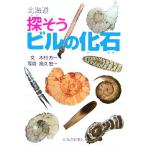  Hokkaido . похоже Bill. окаменелость / дерево . person один [ документ ], высота .. один [ фотография ]
