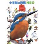 鳥 小学館の図鑑NEO5/上田恵介(著者)